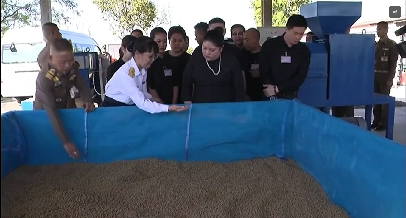 Siam Farm Services practical feed technology for farmers and institutions